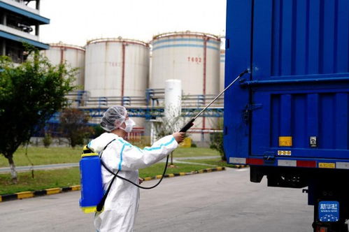 上海糧油食品企業(yè)全力保障生產與運輸