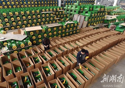 備戰(zhàn)雙十一，薯類產(chǎn)品銷售攻略